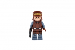 Naboo Security Officer (75091)