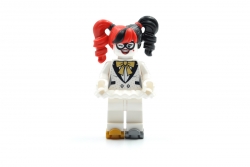 Friends are Family Harley Quinn (71020)